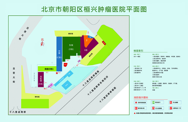 骚逼喷水北京市朝阳区桓兴肿瘤医院平面图